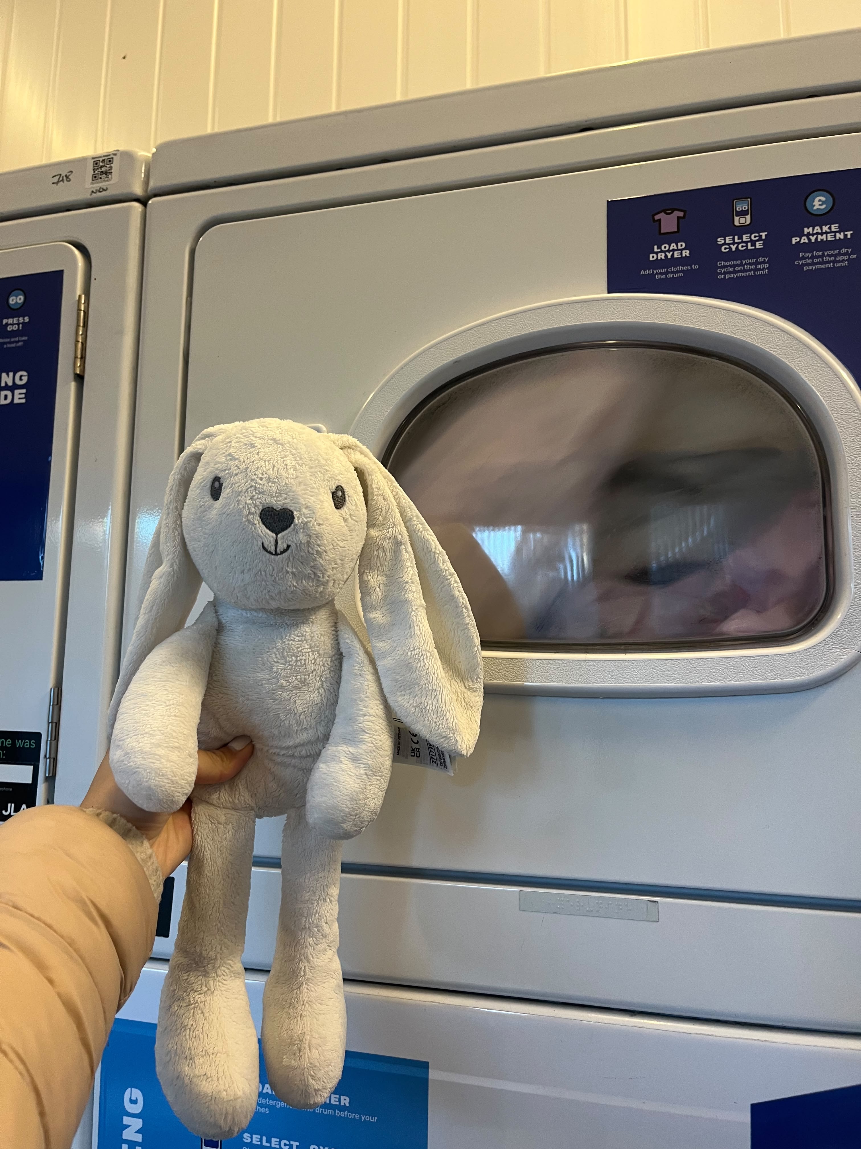 A person holding a bunny next to the drying machine.