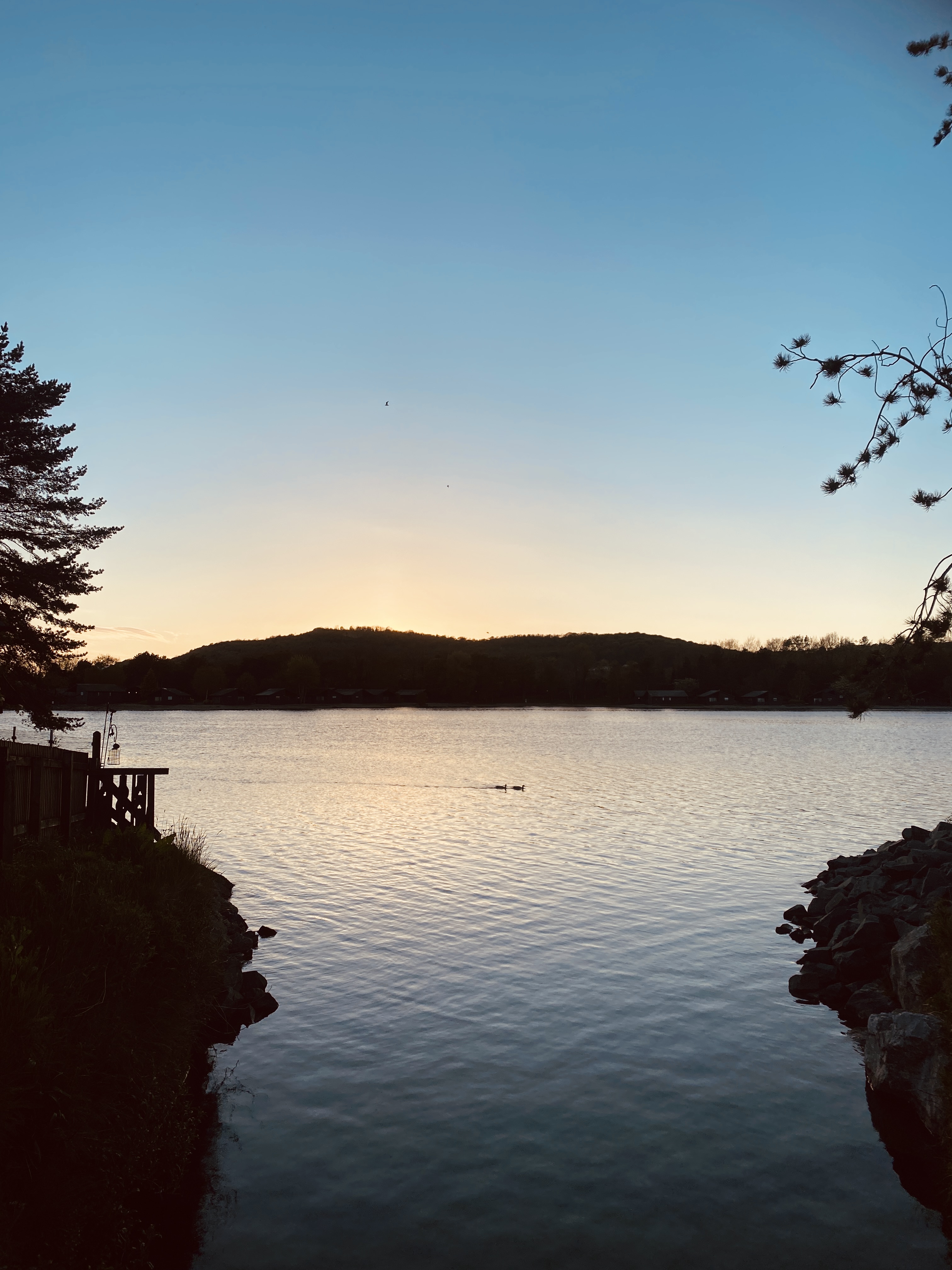 Coast of Pine Lake with the sunset at the back.