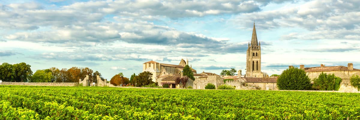 Vineyards of Saint Emilion, Bordeaux 