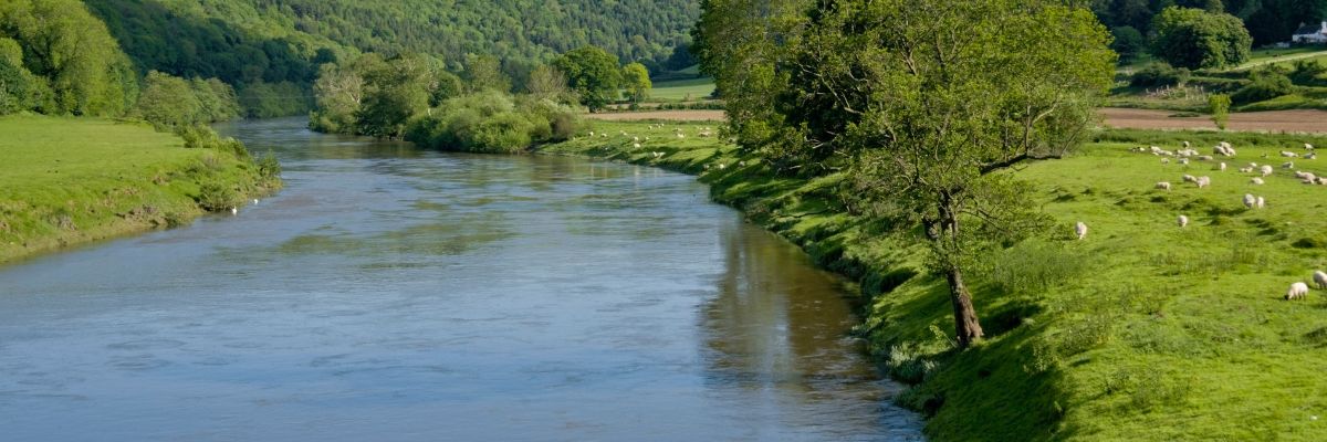 A riverbank