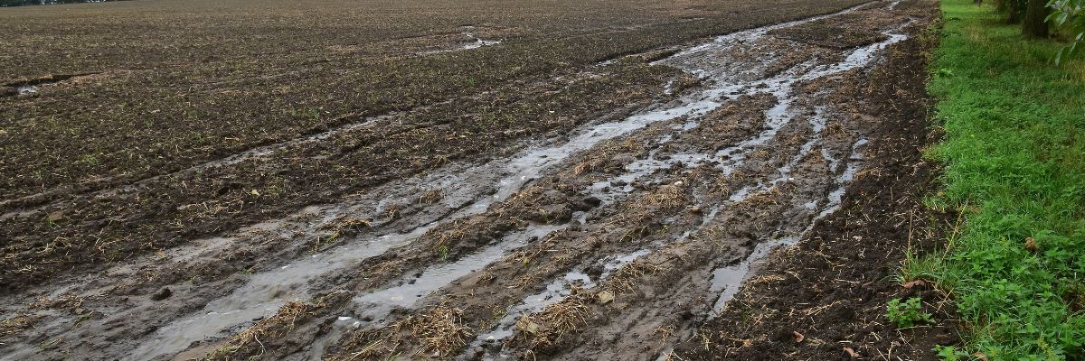 A muddy field