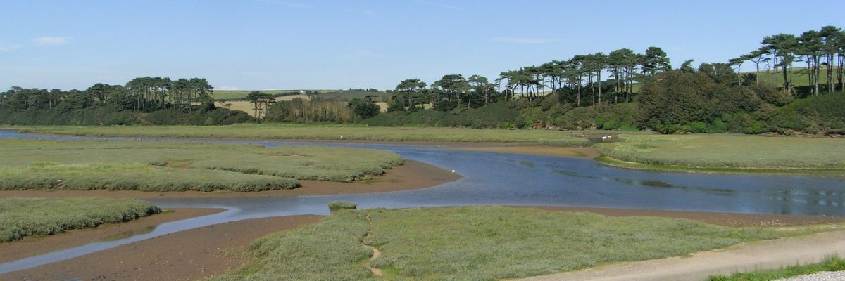 An estuary in Spain