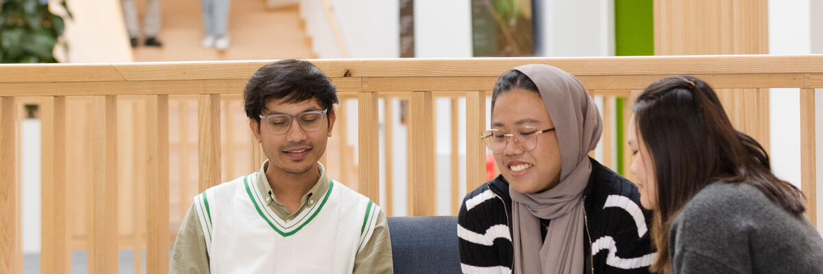 Students studying in lums