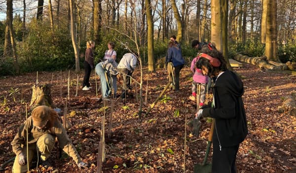 Staff and students planting trees on campus