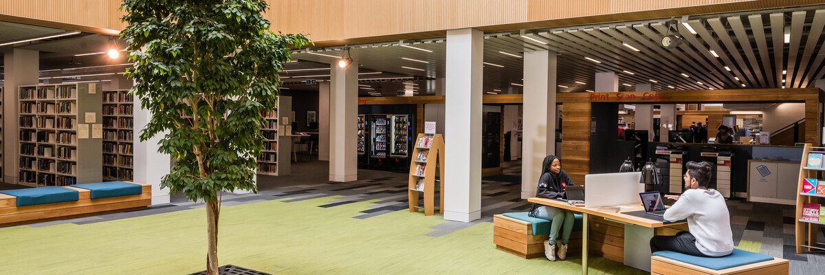 students studying in the library