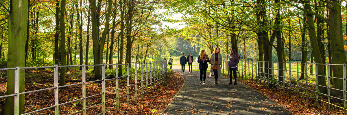 Students walking in the woodland 