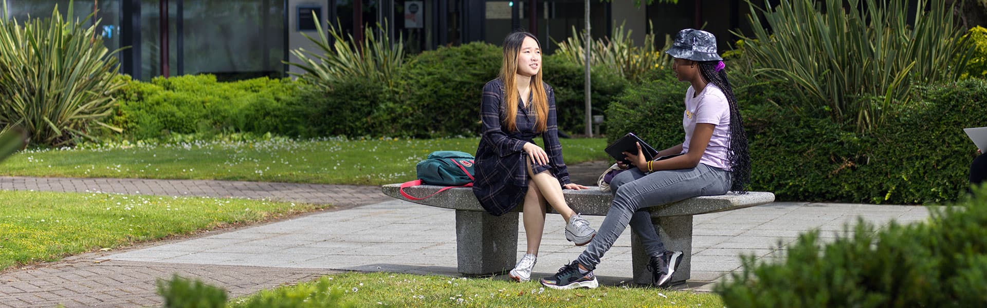 Students studying in the library by the library tree