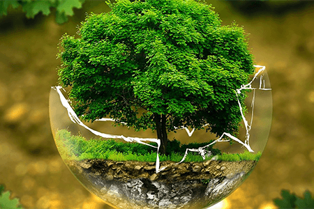 Tree Globe