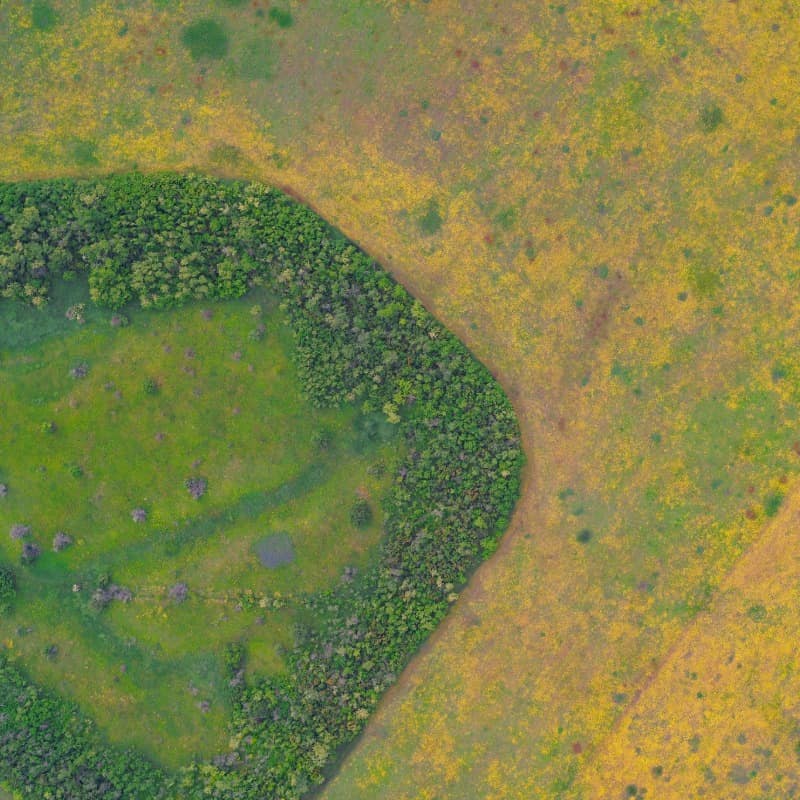 Field seen from above