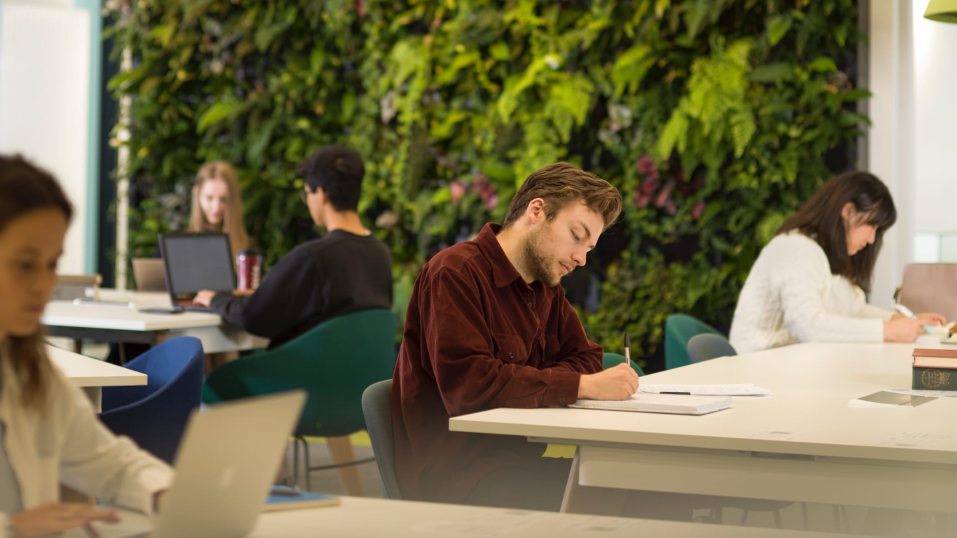 Students sit in the library working in front of a green wall.